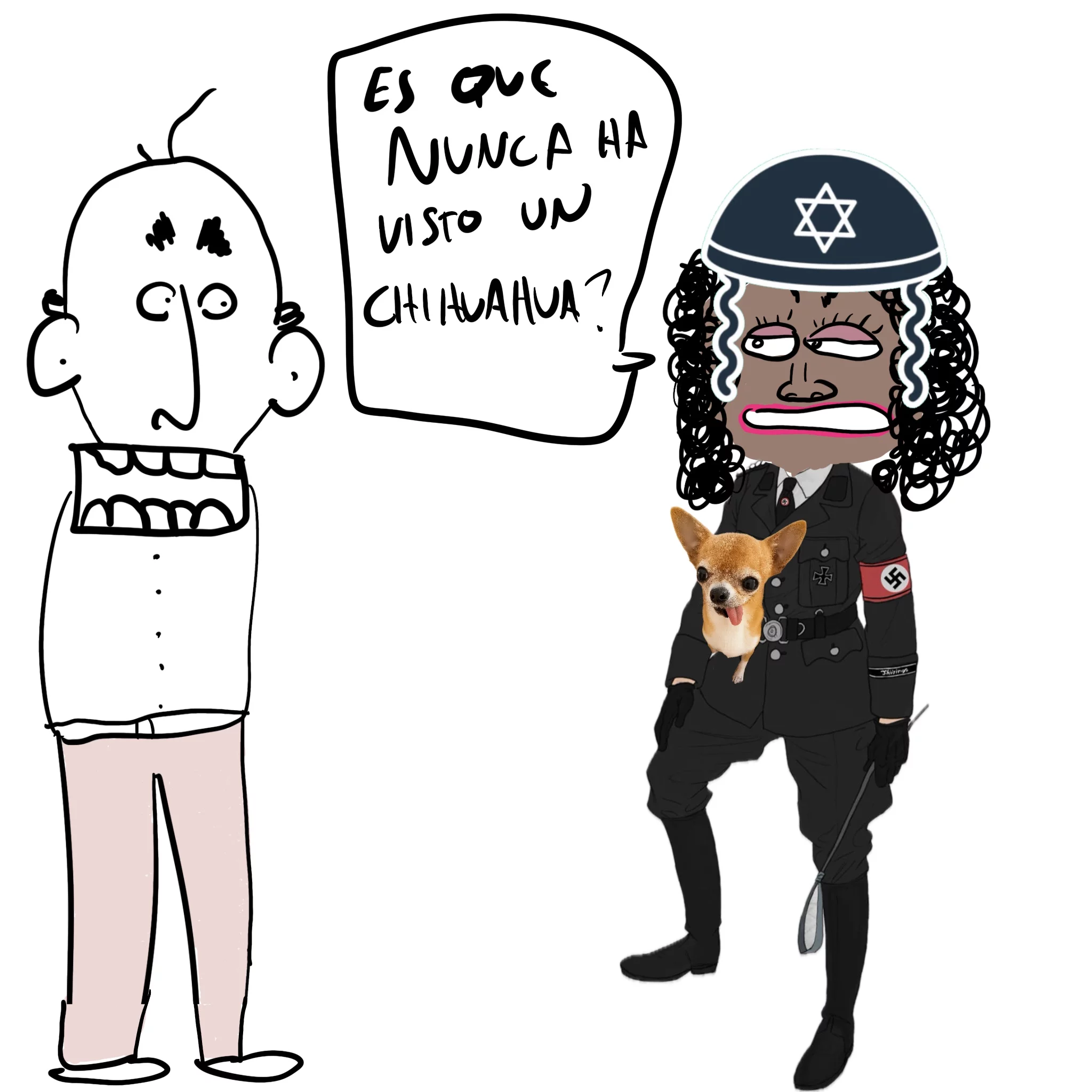 chihuahua
